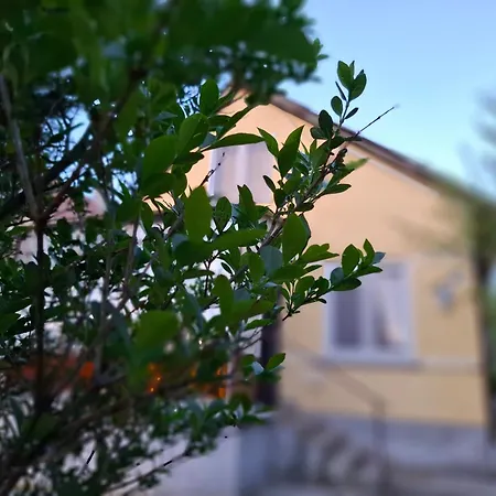 Ozon Appartamento