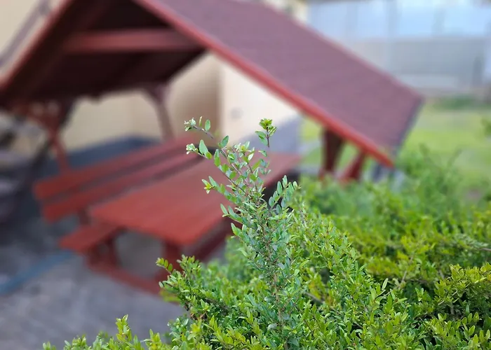 Апартаменты Ozon